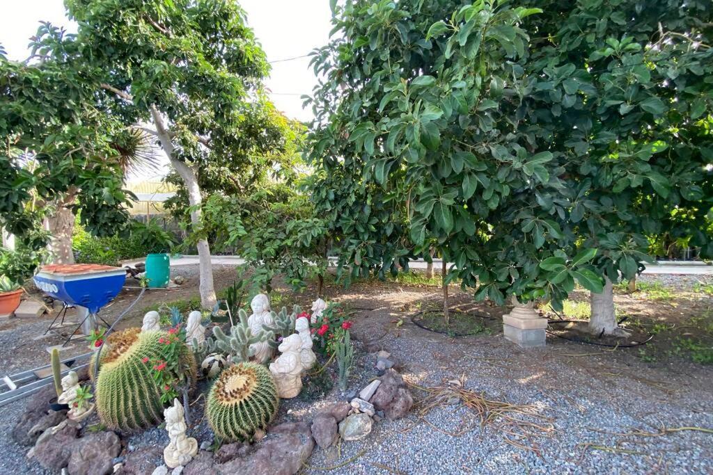 2 Apartments With Private Pool At Villa Diaz Aleman Salobre  Exterior photo